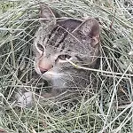 Pensjonat Mit Teekueche Und Bad Einzelzimmer 4*