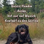 Mit Teekueche Und Bad Einzelzimmer 4* Kuehler Morgen