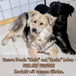 Mit Teekueche Und Bad Einzelzimmer Guest house Kuehler Morgen