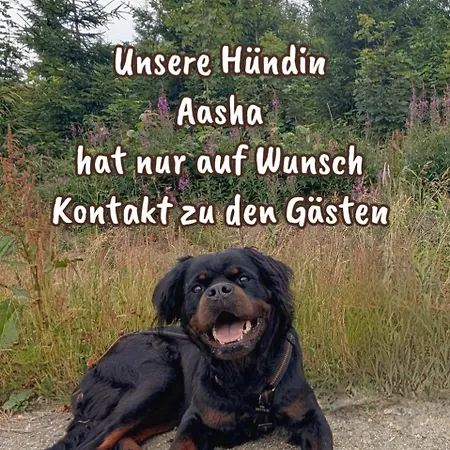 Mit Teekueche, Bad Ez 4* Kuehler Morgen