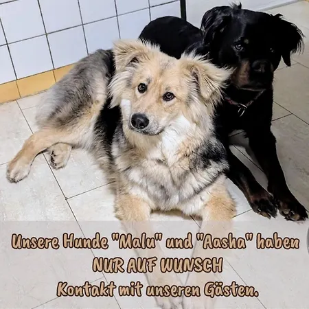 Mit Teekueche Und Bad 招待所 Kuehler Morgen