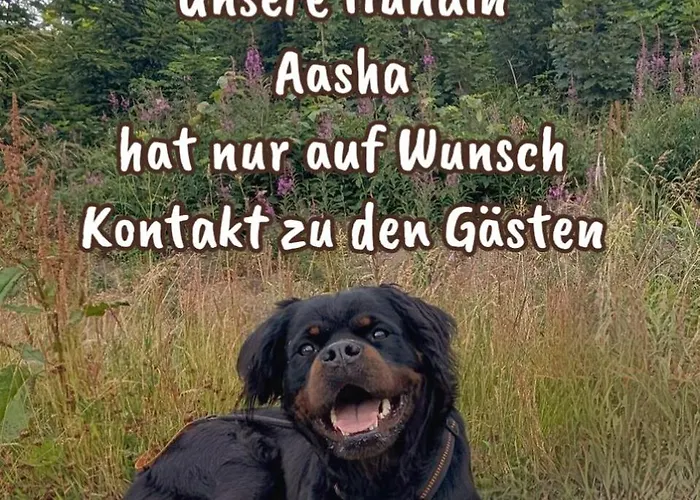 Mit Teekueche Und Bad Einzelzimmer 4* Kuehler Morgen